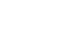 Febradisk